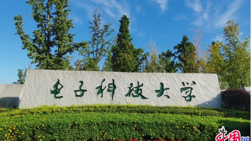 电阻成本控制：材质选择与方案优化**