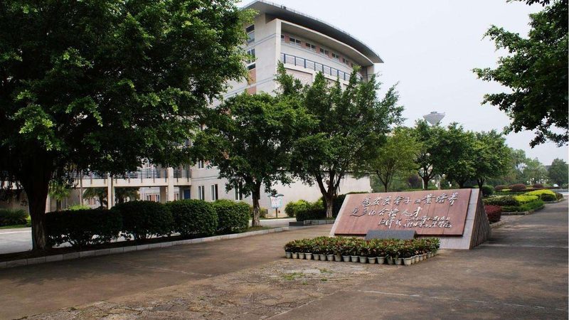 案例分析：如何避免虚标参数