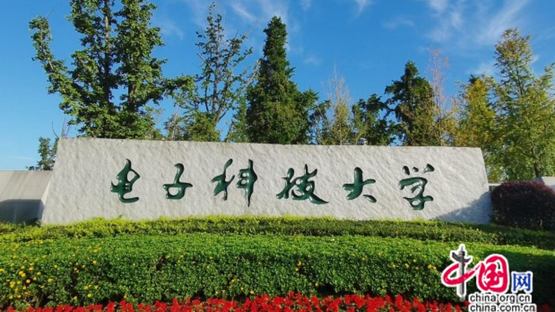 电子产品定制：如何把握批发价格与品质的平衡点**